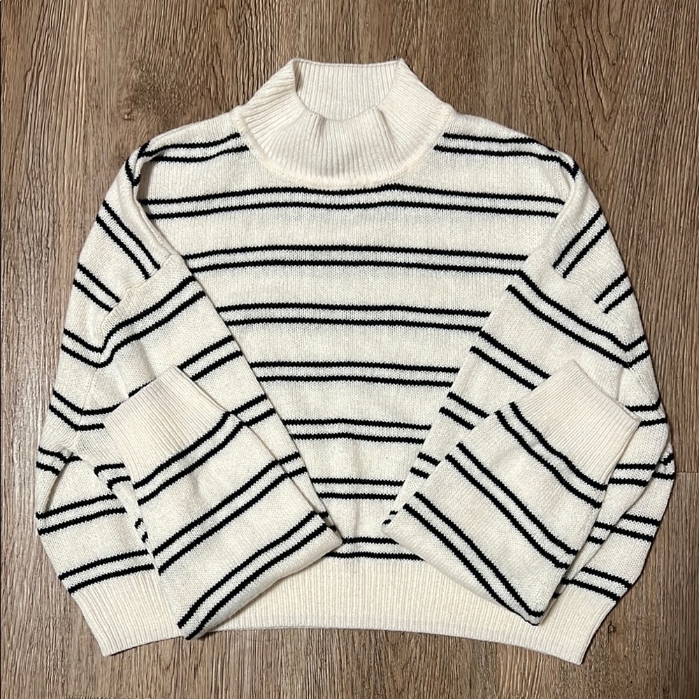 H&M Striped Turtleneck Sweater